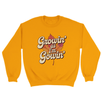 Load image into Gallery viewer, 57e0294b-3add-4243-a6d0-1f203544d68a
