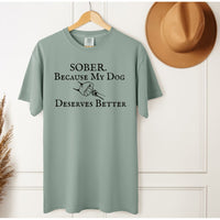 Load image into Gallery viewer, Sober Because My Dog Deserves Better Tee – Sobriety Shirt for Dog Lovers in Recovery
