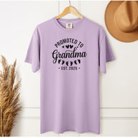 Load image into Gallery viewer, Promoted to Grandma of Triplets 2025 Tee – Pregnancy Reveal Comfort Colors T-Shirt
