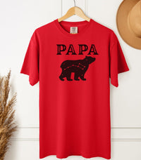 Load image into Gallery viewer, Papa Bear T-Shirt – Perfect Father&#39;s Day Gift for Dads &amp; Grandpas
